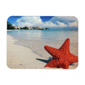 Starfish, Nassau, Bahamas Magnet (Horizontal)