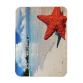 Starfish, Nassau, Bahamas Magnet (Vertikal)