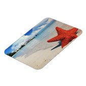 Starfish, Nassau, Bahamas Magnet (Linke Seite)