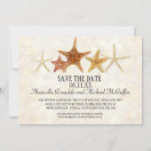 Starfish Nautilus Scallop Sea Muschel Modernes Mus Einladung (Vorderseite)