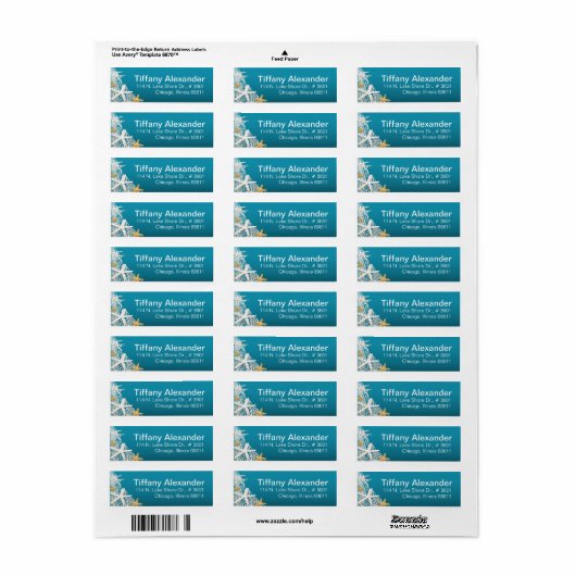 Starfish Netting Beach | Azurblau (Vorne)