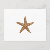 Starfish - Nordseestern Postkarte (Vorderseite)