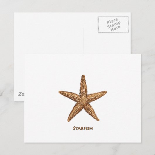 Starfish - Nordseestern Postkarte (Vorne/Hinten)