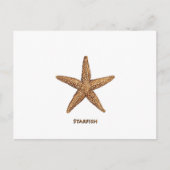 Starfish - Nordseestern Postkarte (Vorderseite)