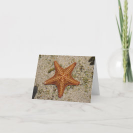 Starfish notecard karte