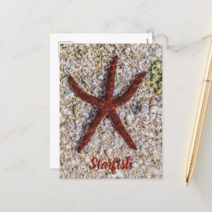 Starfish Ocean Vintag Beach Retro Souvenir Feiertagspostkarte