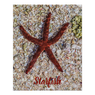 Starfish Ocean Vintag Beach Retro Souvenir Poster