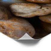 Starfish On Rocks Poster (Ecke)