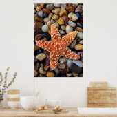 Starfish On Rocks Poster (Küche)