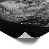 Starfish on Rocks Poster (Ecke)