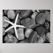 Starfish on Rocks Poster (Vorne)