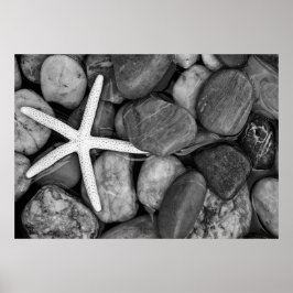 Starfish on Rocks Poster