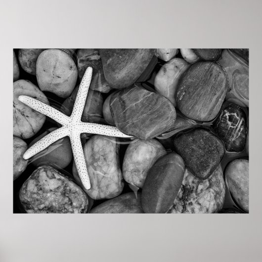 Starfish on Rocks Poster (Vorne)