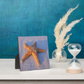 Starfish On White Sand Fotoplatte (InSitu)