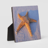 Starfish On White Sand Fotoplatte (Vorderseite)
