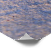 Starfish On White Sand Poster (Ecke)