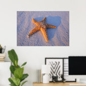 Starfish On White Sand Poster (Heimbüro)