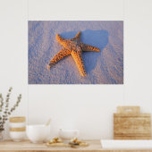 Starfish On White Sand Poster (Küche)