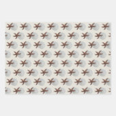 Starfish Pattern Grau Beige Jeder Anlass Geschenkpapier Set (Vorderseite 3)