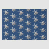 Starfish Pattern Navy Blue Seidenpapier (Vorderseite)