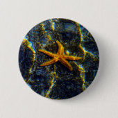 Starfish Pinback Button (Vorderseite)