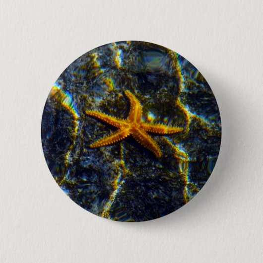 Starfish Pinback Button (Vorderseite)