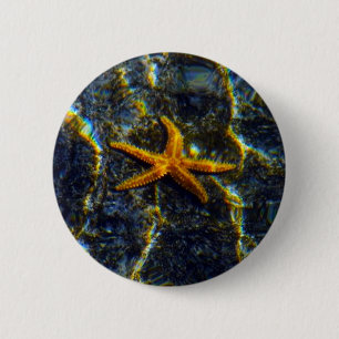 Starfish Pinback Button