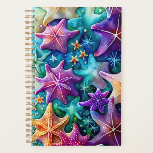 Starfish Planer (Vorderseite)