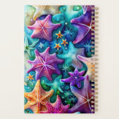 Starfish Planer (Rückseite)