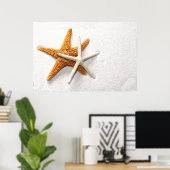 Starfish Poster (Heimbüro)