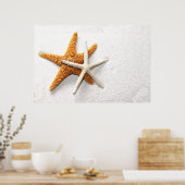 Starfish Poster (Küche)