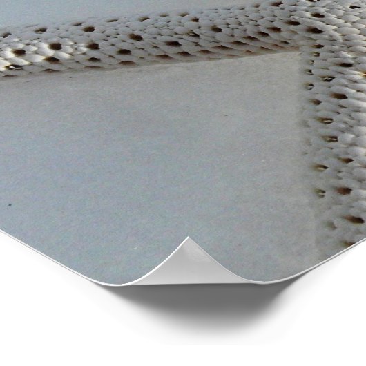 Starfish Poster (Ecke)