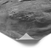 Starfish Poster (Ecke)