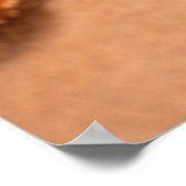 Starfish Poster (Ecke)