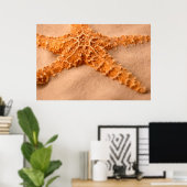 Starfish Poster (Heimbüro)