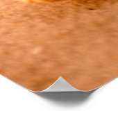 Starfish Poster (Ecke)