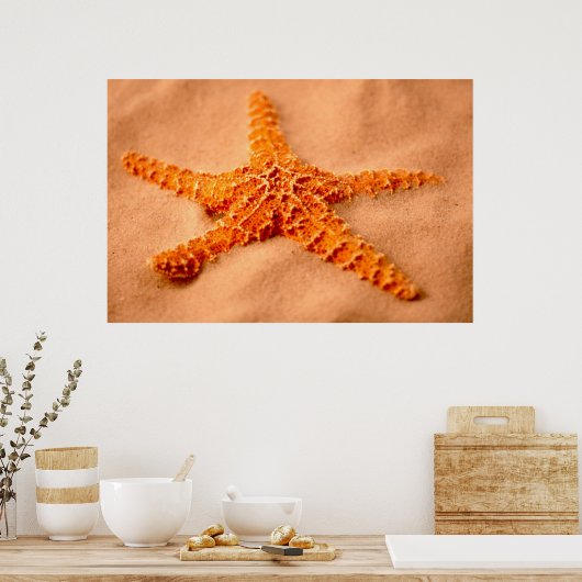 Starfish Poster (Küche)