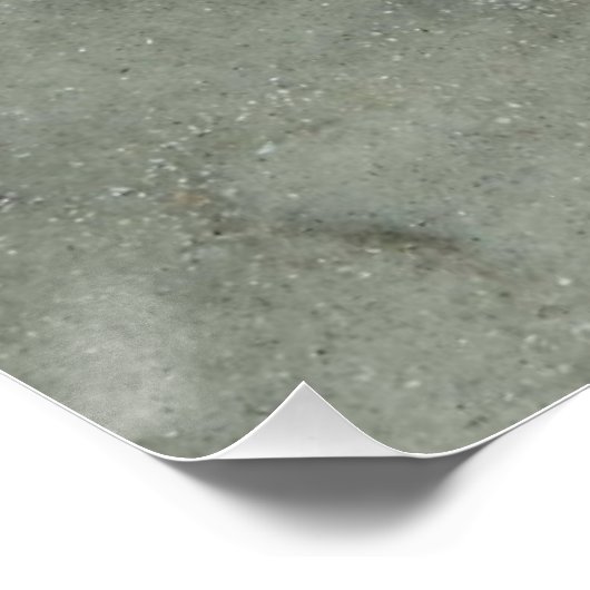 Starfish Poster (Ecke)