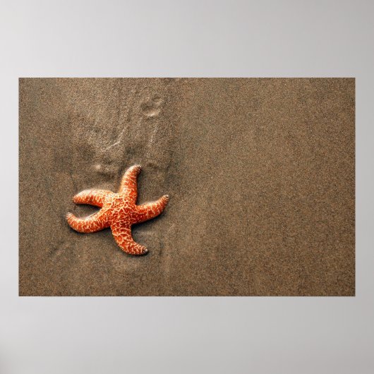 Starfish Poster (Vorne)