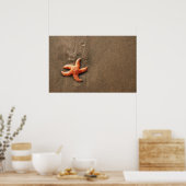 Starfish Poster (Küche)