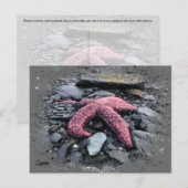 Starfish - Postkarte (Vorne/Hinten)