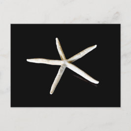 Starfish Postkarte