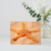 Starfish Postkarte (Stehend Vorderseite)