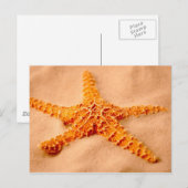 Starfish Postkarte (Vorne/Hinten)