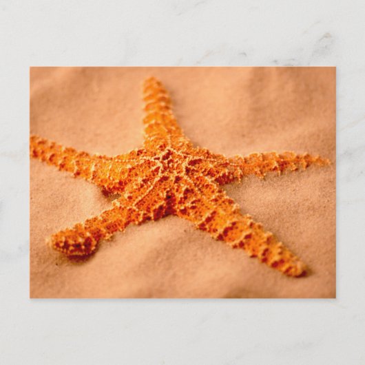 Starfish Postkarte (Vorderseite)