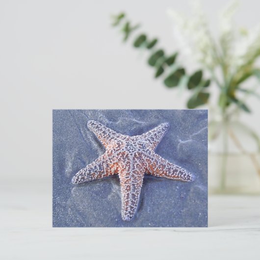 Starfish Postkarte (Stehend Vorderseite)