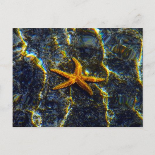 Starfish Postkarte (Vorderseite)