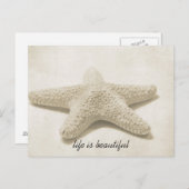 Starfish Postkarte (Vorne/Hinten)