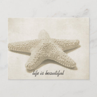Starfish Postkarte