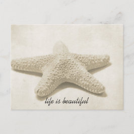 Starfish Postkarte